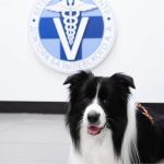 Новополоцк