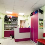 Проспект Ветеранов